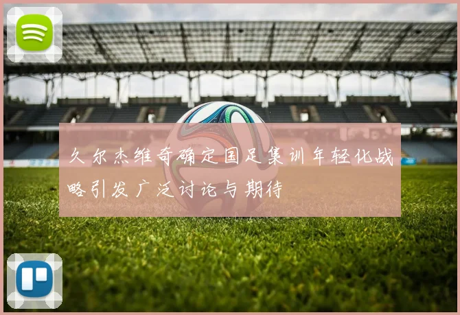久尔杰维奇确定国足集训年轻化战略引发广泛讨论与期待