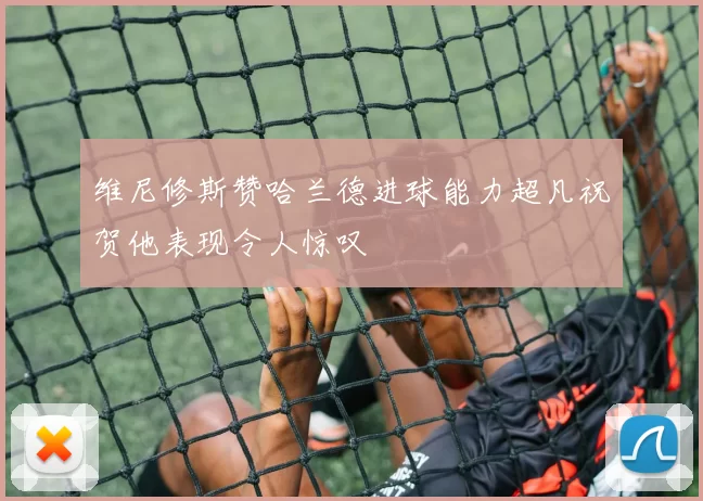 维尼修斯赞哈兰德进球能力超凡祝贺他表现令人惊叹